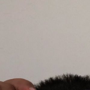 Meet your Posher, Bruno